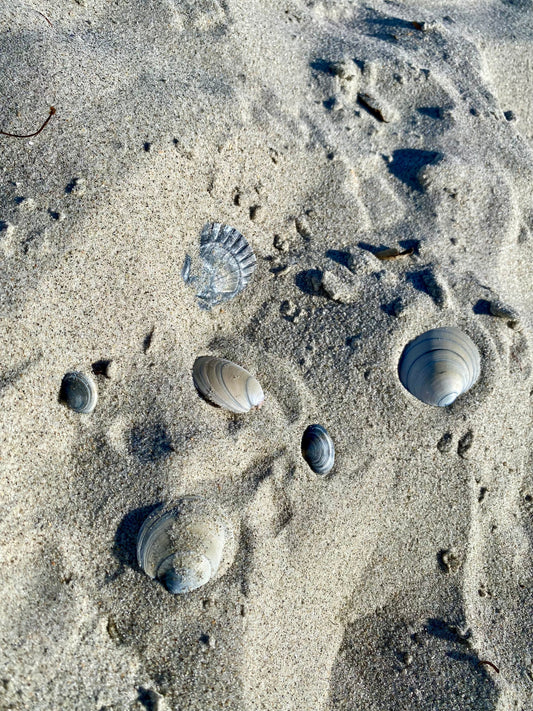 The Artistic Bone: A Journey Back to the Summer of 2013