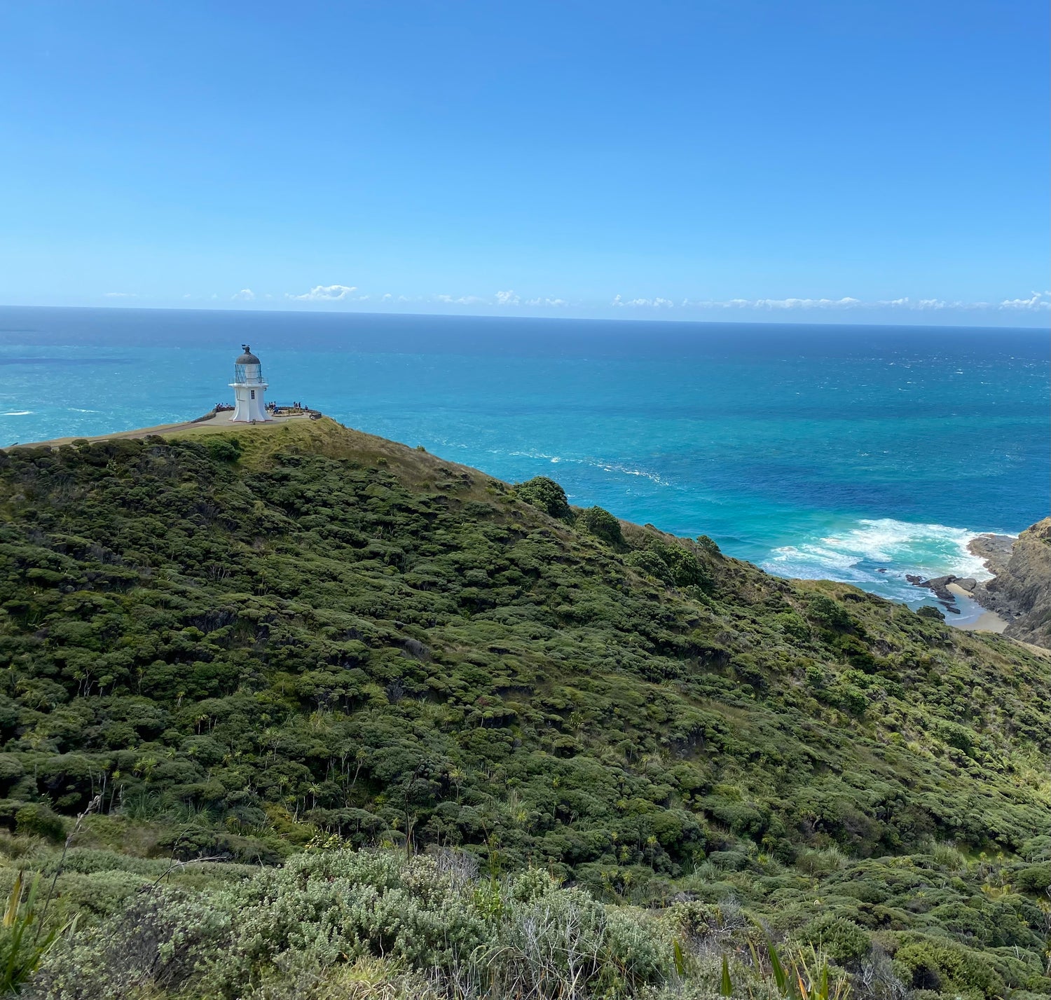 The Lighthouse