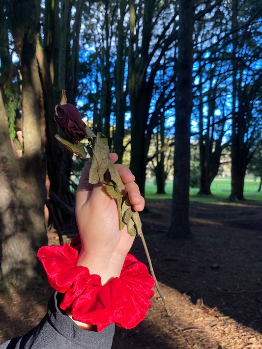 Hand holding a red flower and green leaves against a forest background